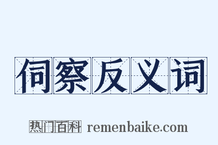 伺察反义词是什么意思的图片